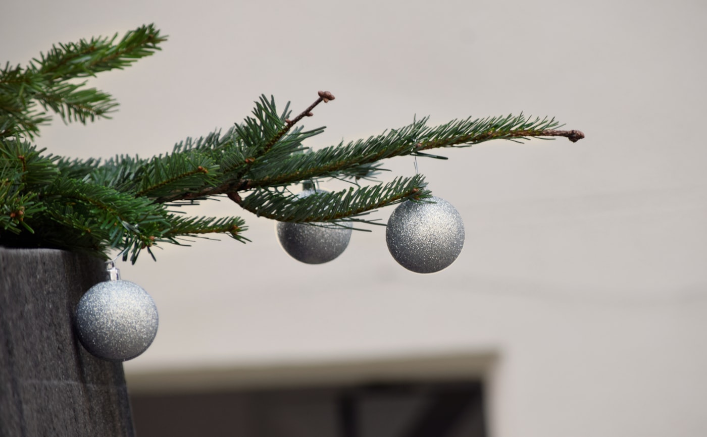 Silberne Ornamente an einem Tannenzweig